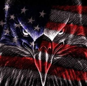 Meet your Posher, Bruce